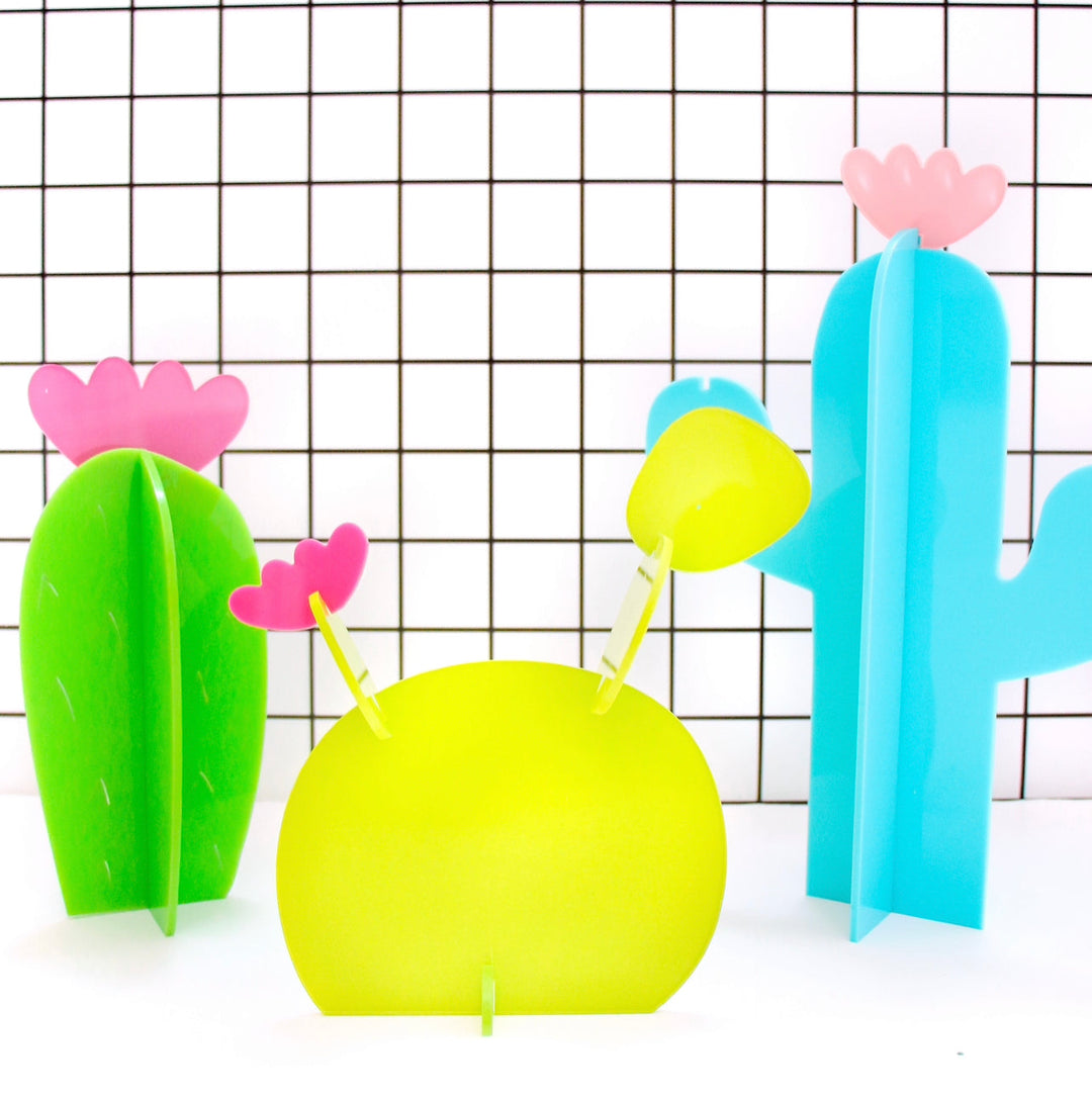 Acrylic cactus set