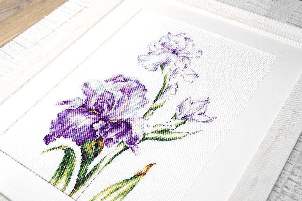 Irises B2251L Counted Cross-Stitch Kit