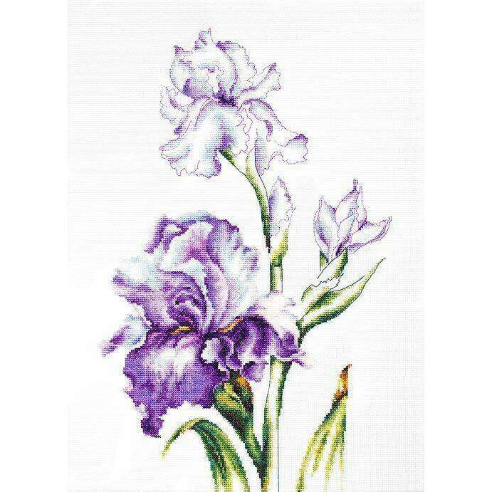 Irises B2251L Counted Cross-Stitch Kit