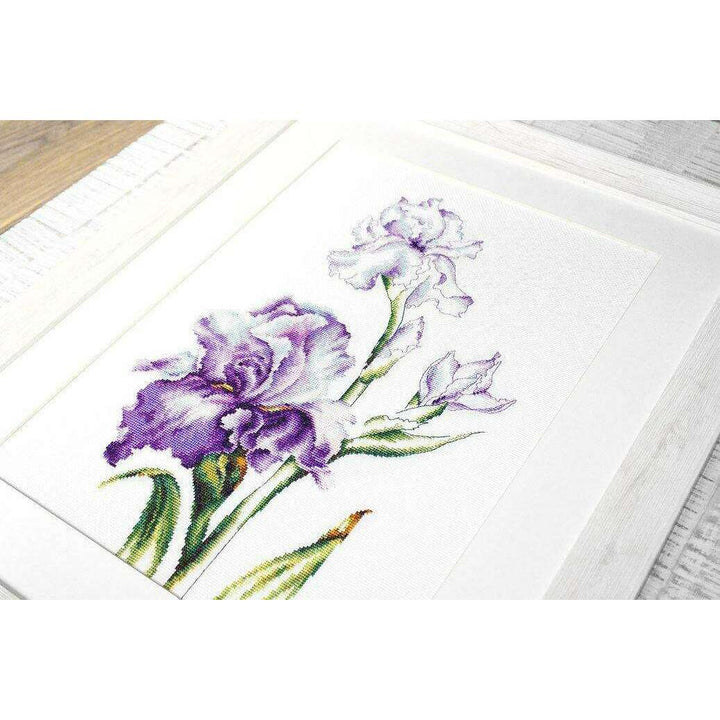 Irises B2251L Counted Cross-Stitch Kit