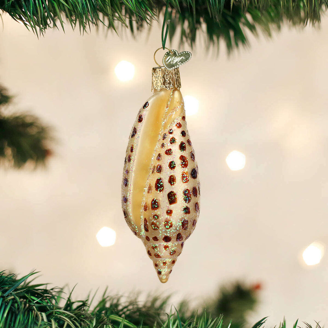 Junonia Shell Ornament