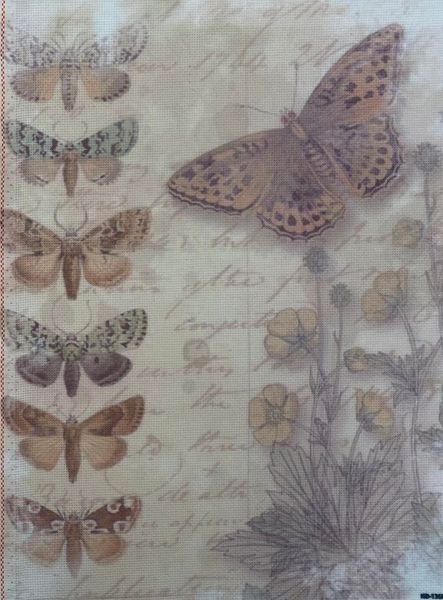 Butterfly Whispers Designer Printed AIDA Fabric. Canvas for embroidery with an applied background  KF-1360A
