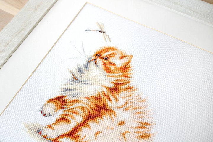 Kitten with a dragonfly B2270L Counted Cross-Stitch Kit