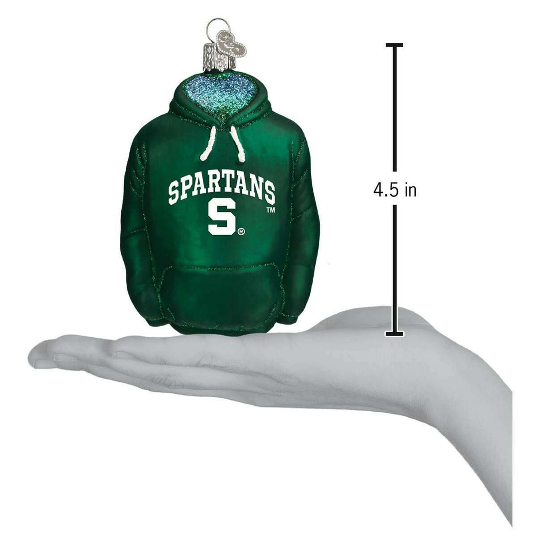 Michigan State Hoodie