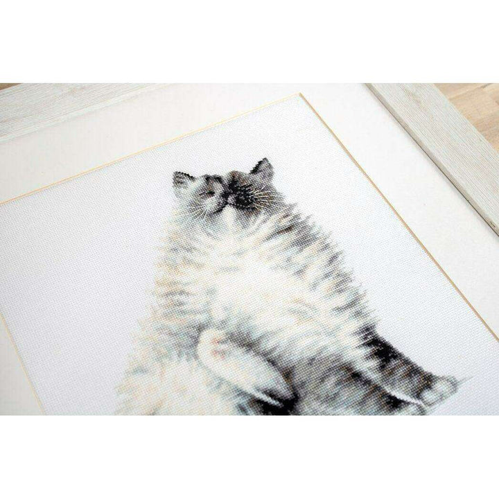 Micky B2269L Counted Cross-Stitch Kit