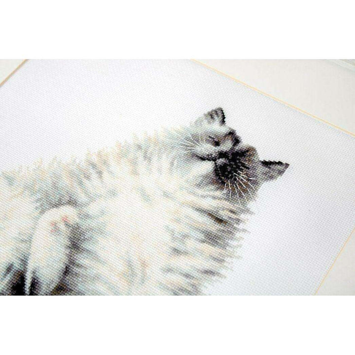 Micky B2269L Counted Cross-Stitch Kit