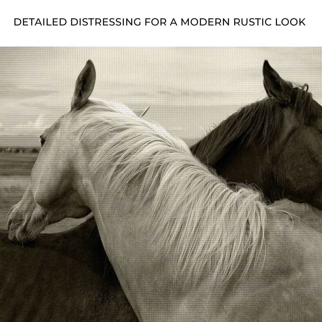 Monochrome Couple Horse Canvas Wall Art
