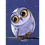 Owlet CS278 5.9 x 7.9 inches Crafting Spark Diamond Painting Kit