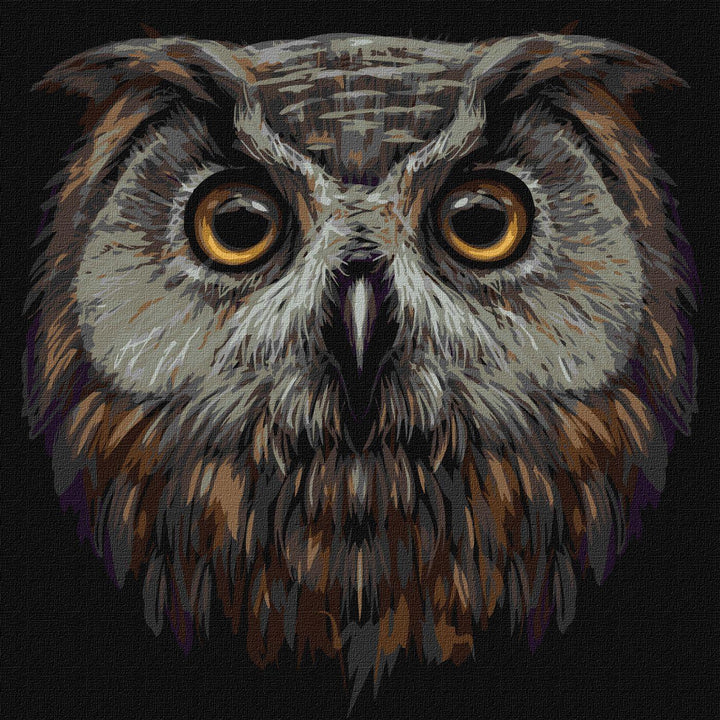 Painting by Numbers kit Bird of wisdom KHO4388