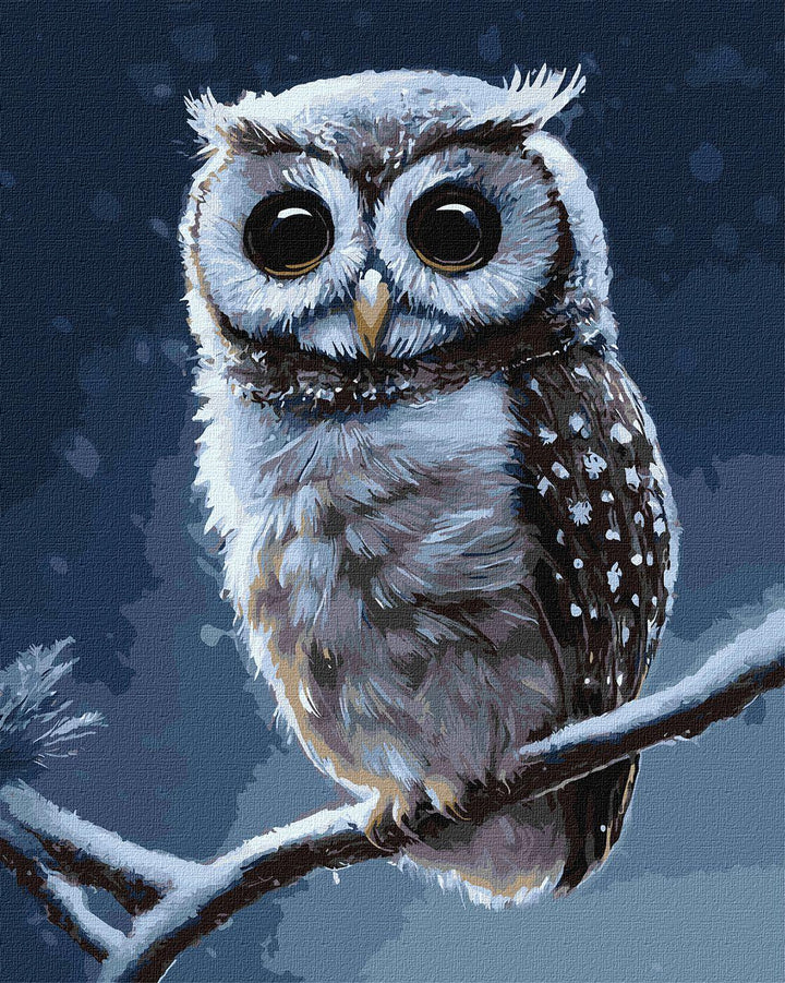 Painting by Numbers kit Forest owl KHO4457