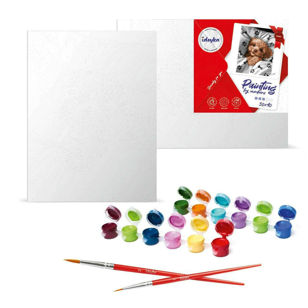 Painting by Numbers kit In the lavender fields KHO6659