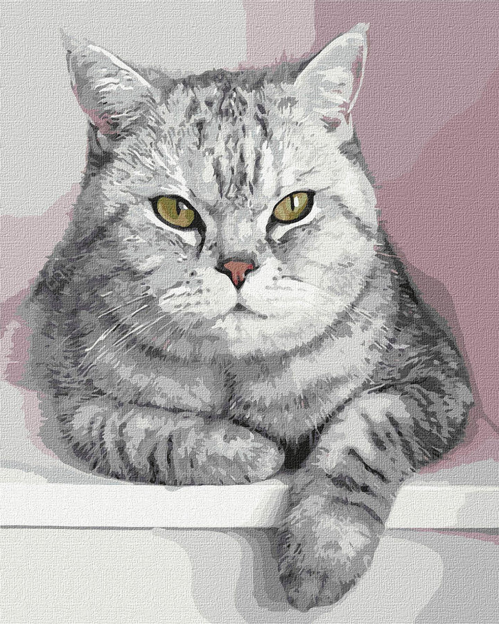 Painting by Numbers kit My furry friend KHO4201