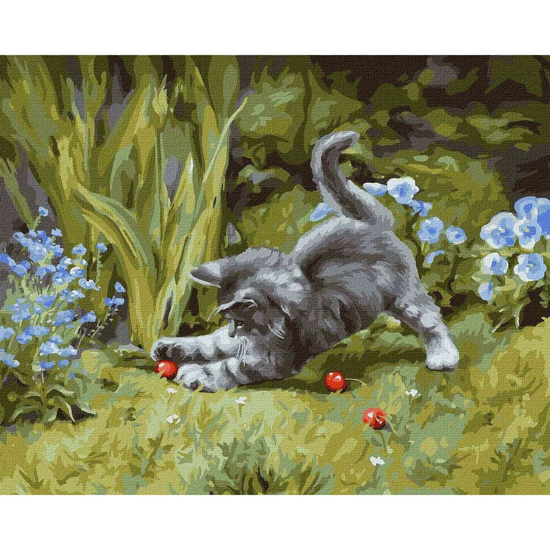 Painting by Numbers kit Playful kitten KHO4251