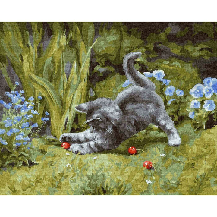 Painting by Numbers kit Playful kitten KHO4251