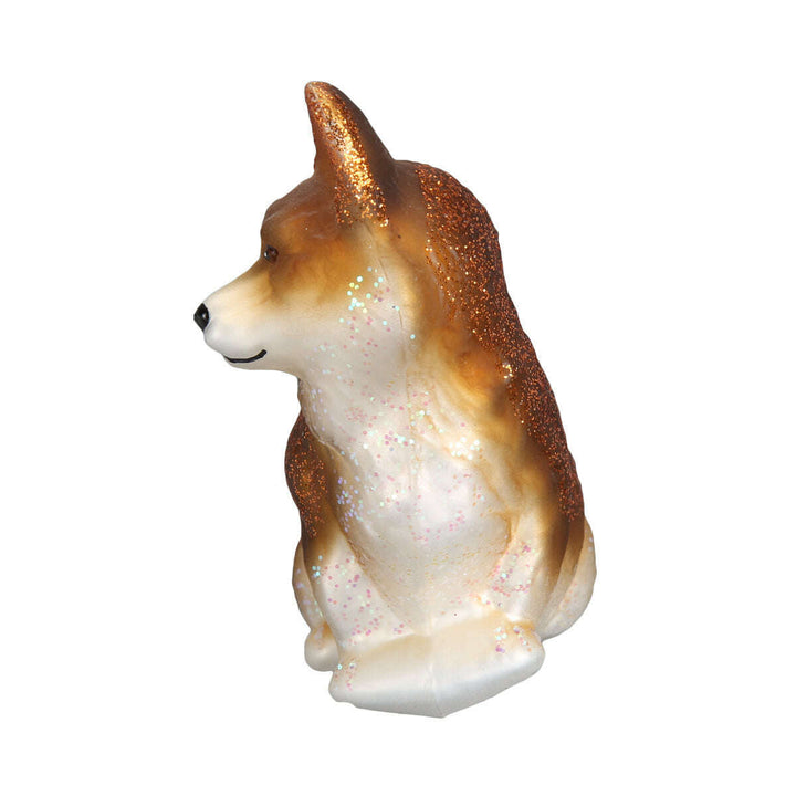 Pembroke Welsh Corgi