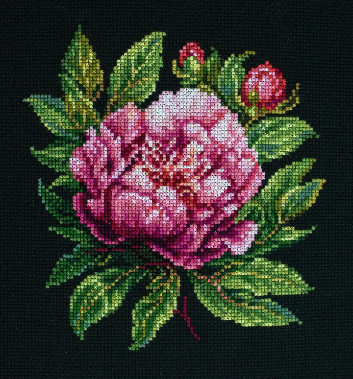 Peter Brand Peony BC204l Counted Cross-Stitch Kit