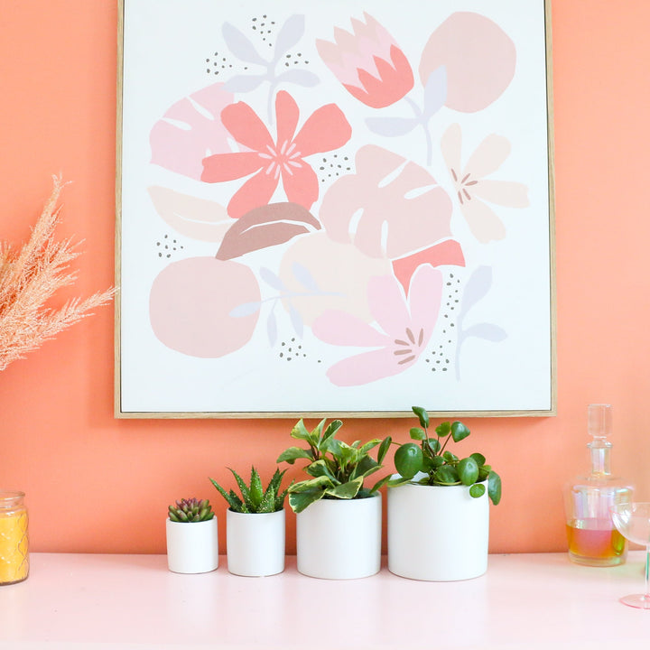 Two Tone Gradient Cement Planter