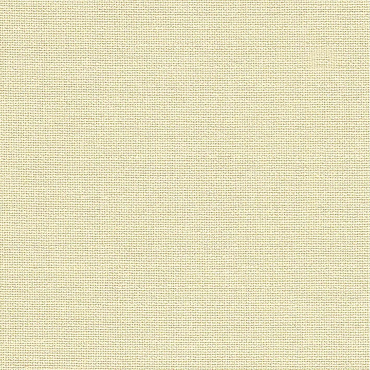 Precut  Zweigart Murano 32 count Platinum 3984/770