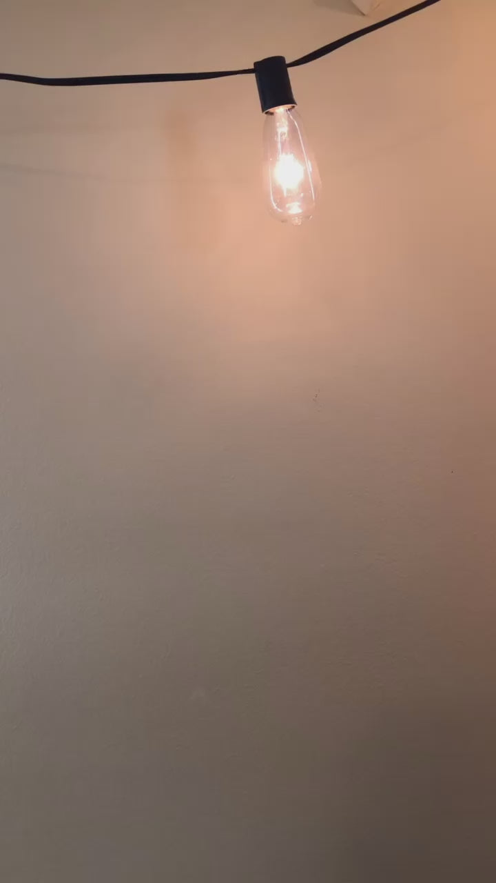 johanna parker halloween earrings and brooch