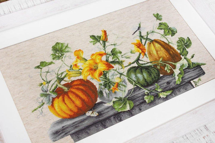 Pumpkin B2303L Counted Cross-Stitch Kit