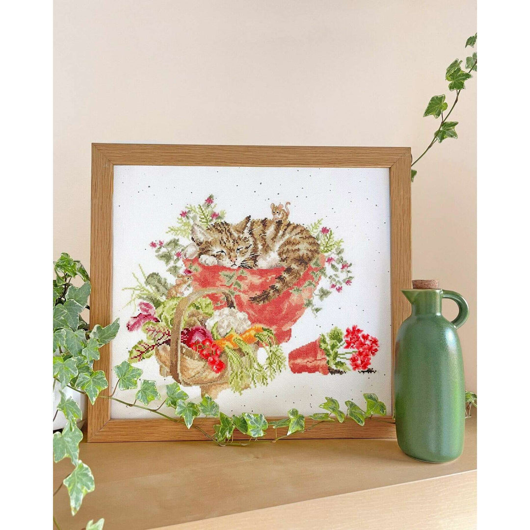 Purrrfect Spot XHD149 Counted Cross Stitch Kit