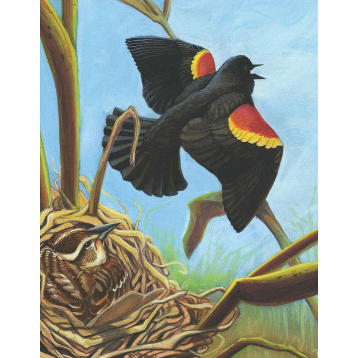Red-winged Blackbird Mini