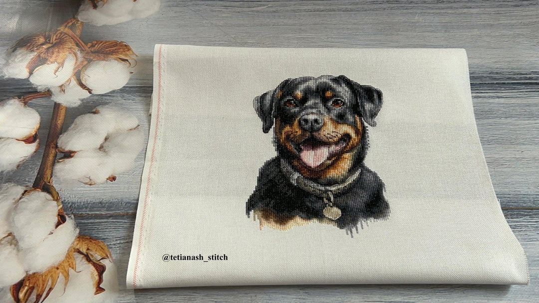 Rottweiler BC229L Counted Cross-Stitch Kit