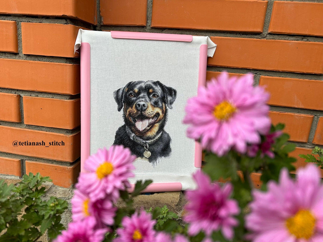 Rottweiler BC229L Counted Cross-Stitch Kit