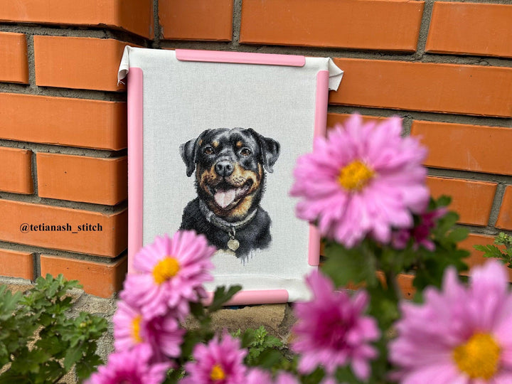 Rottweiler BC229L Counted Cross-Stitch Kit