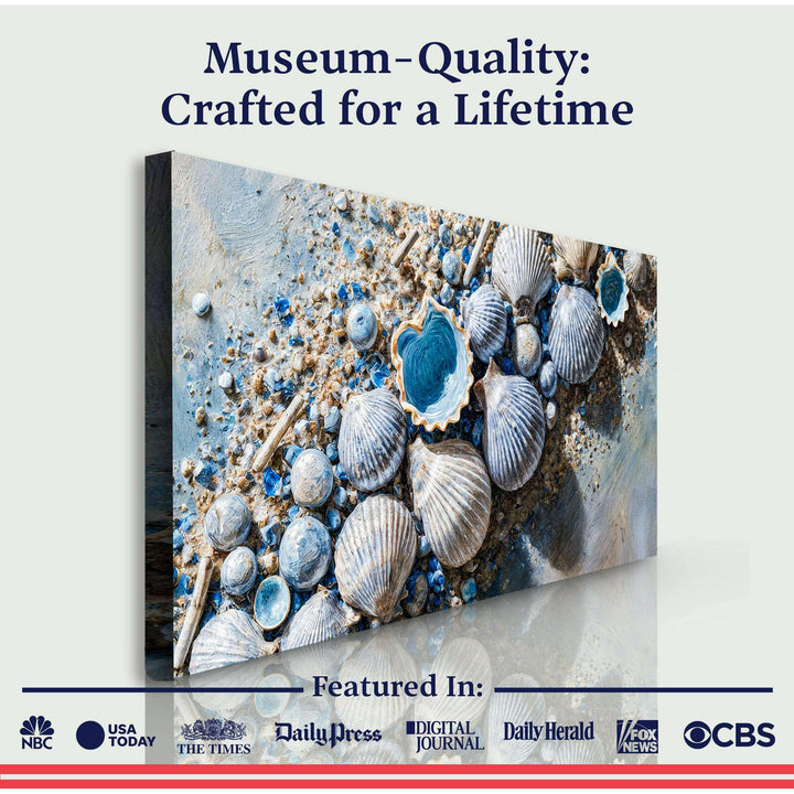 Sea Shells Modern Coastal Wall Art II