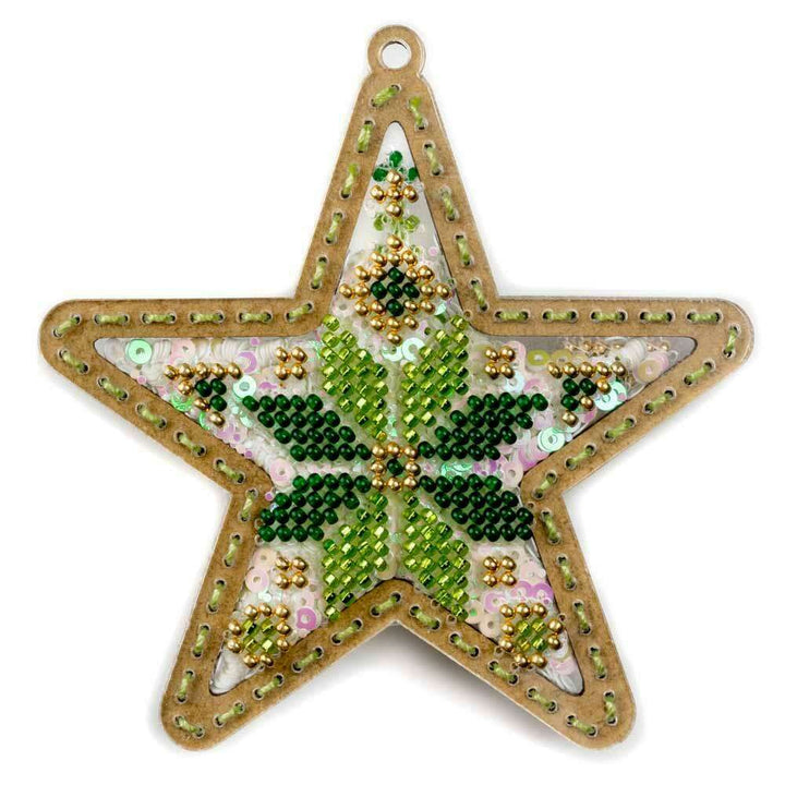 Set for embroidery with beads on a plastic base FLPL-069