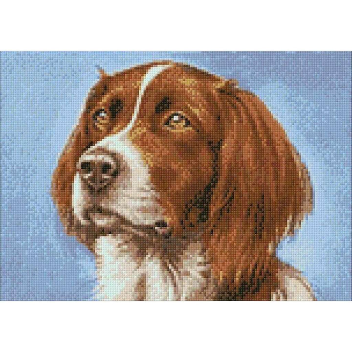 Setter WD181 14.9 x 10.6 inches Wizardi Diamond Painting Kit