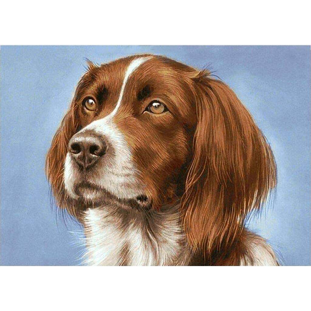 Setter WD181 14.9 x 10.6 inches Wizardi Diamond Painting Kit