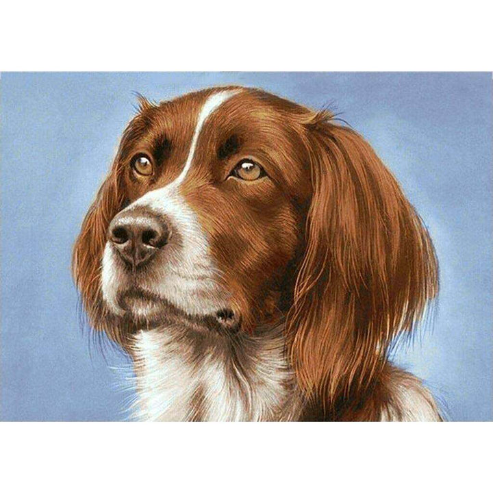 Setter WD181 14.9 x 10.6 inches Wizardi Diamond Painting Kit