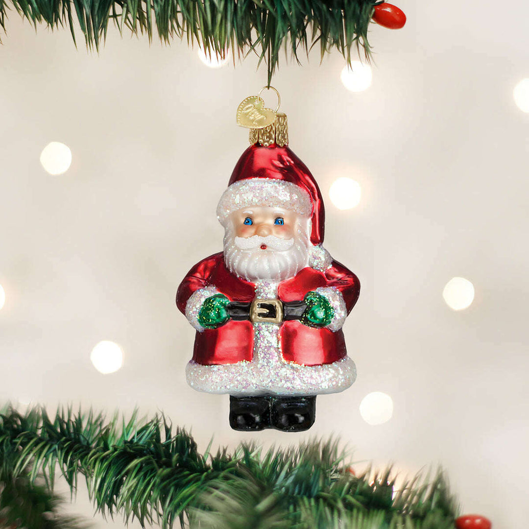 Short Stuff Santa Ornament