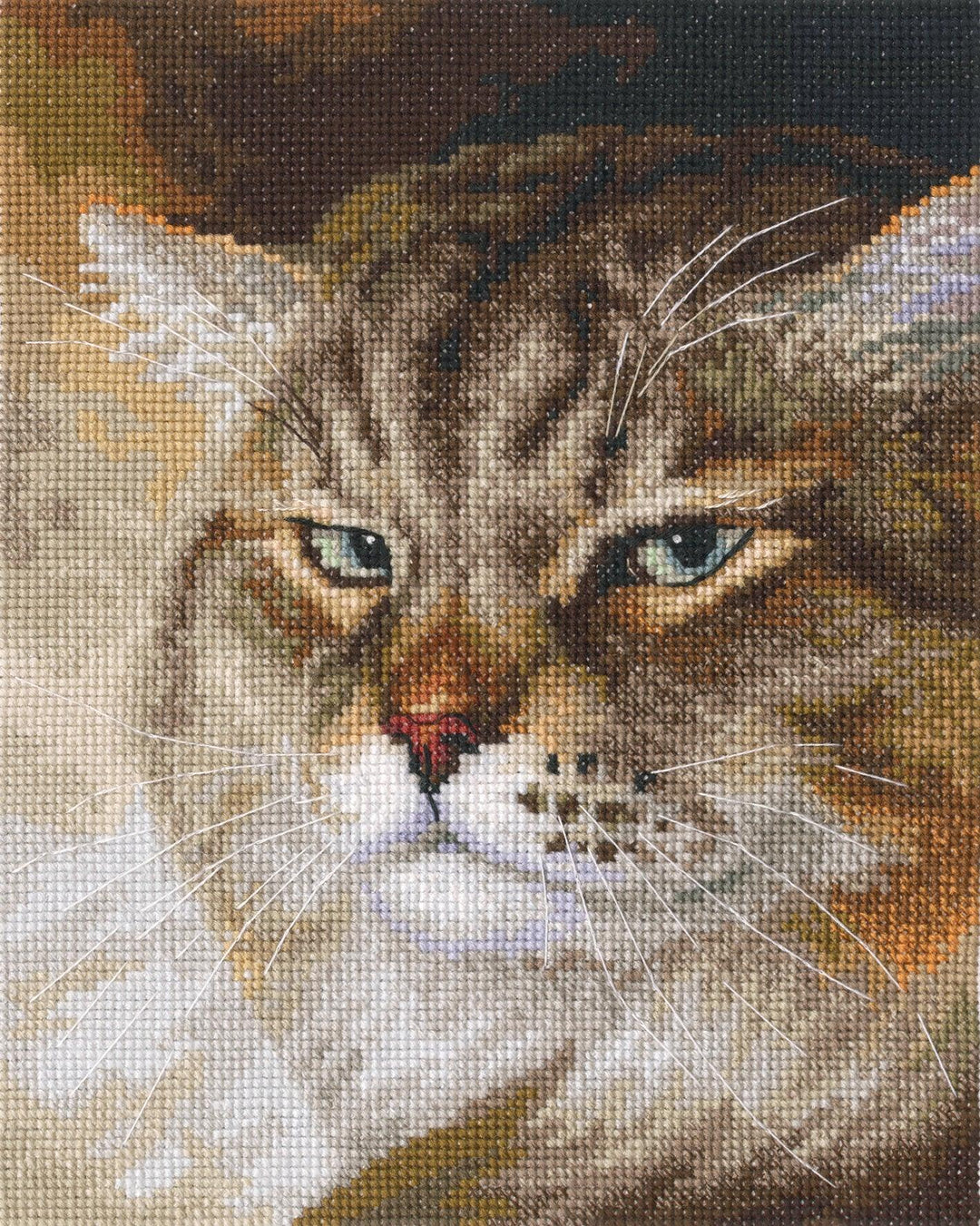 Sly and extremely beautiful. ''MACHO'' M995 Counted Cross Stitch Kit