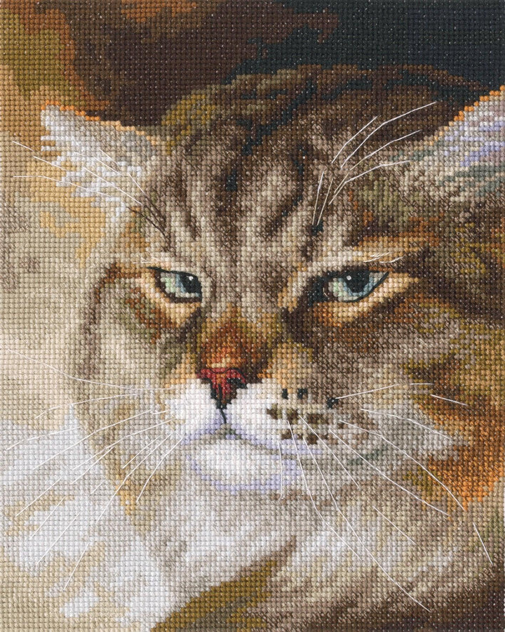 Sly and extremely beautiful. ''MACHO'' M995 Counted Cross Stitch Kit
