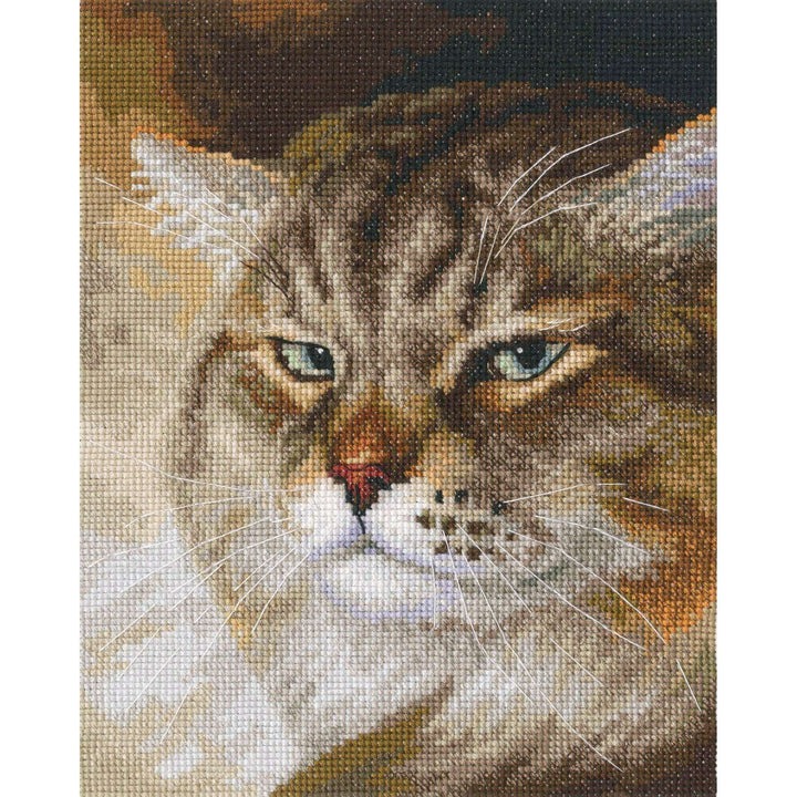 Sly and extremely beautiful. ''MACHO'' M995 Counted Cross Stitch Kit