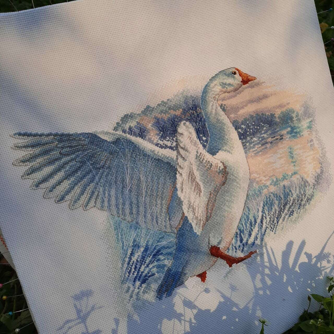 Snow goose M855 Counted Cross Stitch Kit