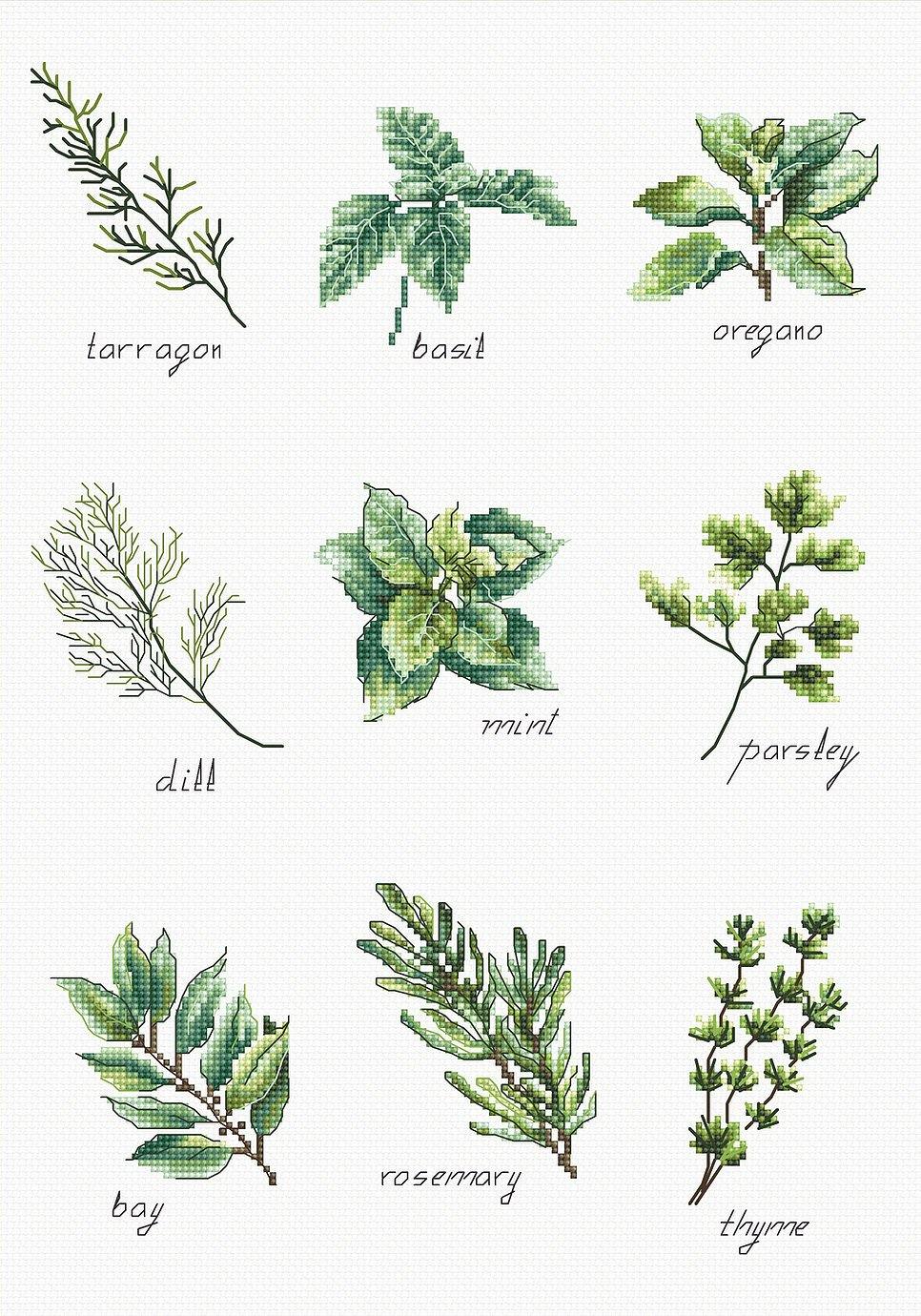 Spices and herbs B2345L Counted Cross-Stitch Kit