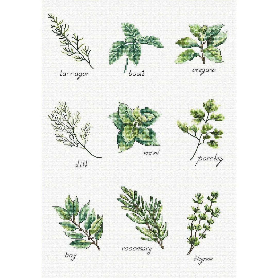 Spices and herbs B2345L Counted Cross-Stitch Kit