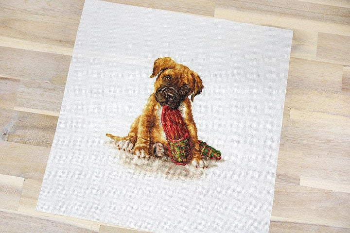 The Boxer B2338L Counted Cross-Stitch Kit