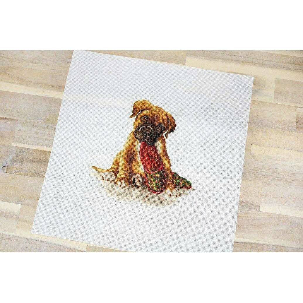 The Boxer B2338L Counted Cross-Stitch Kit