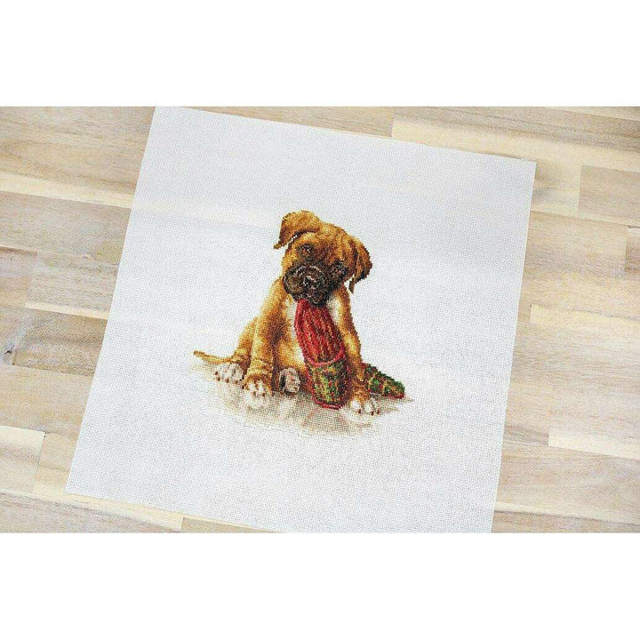 The Boxer B2338L Counted Cross-Stitch Kit