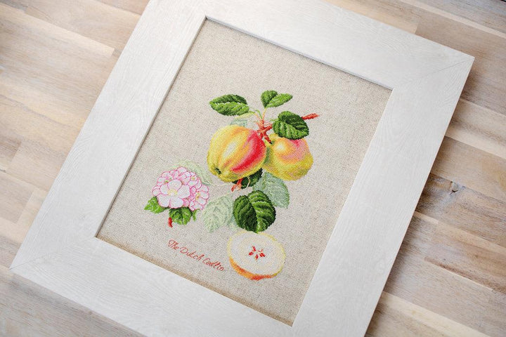 The Dutch Codlin BA22440L Counted Cross-Stitch Kit