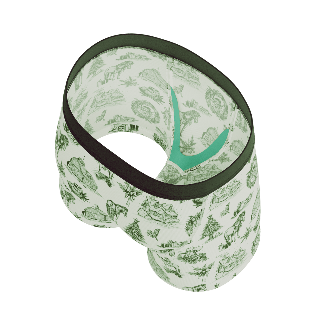 The Western Wonderland | Western Toile Boy's Boxer Briefs