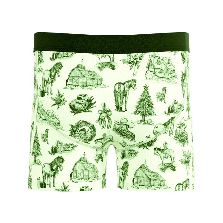 The Western Wonderland | Western Toile Boy's Boxer Briefs