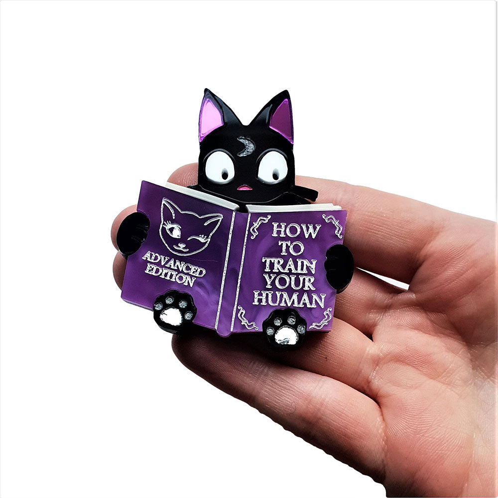 Train Your Human Brooch by Cherryloco Jewellery 2