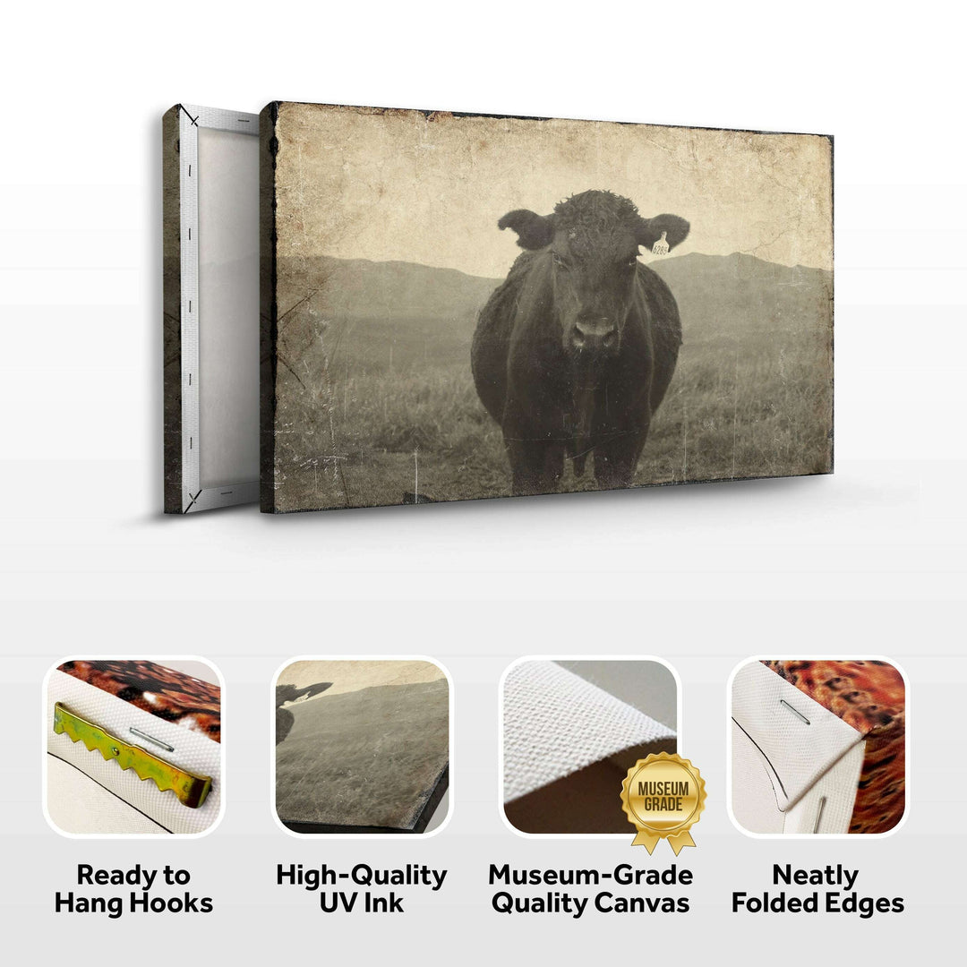 Vintage Angus Portrait Canvas Wall Art