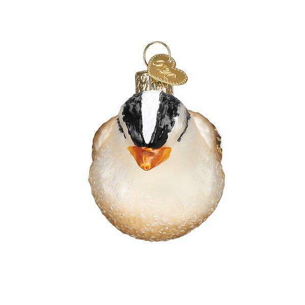 White Crowned Sparrow